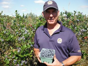 Fresh blueberries picked at Hugli's Blueberry Ranch in Pembroke, Ontario.