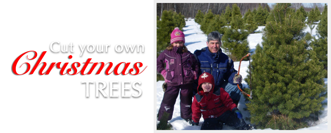 Make Christmas memories atbbr.bigcatchdesign.comnch when you cut your own trees